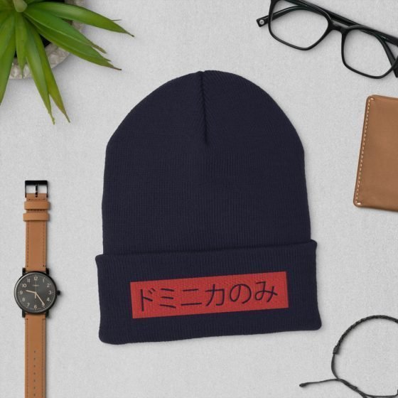 Onlydom | Japanese Cuffed Beanie - Image 3