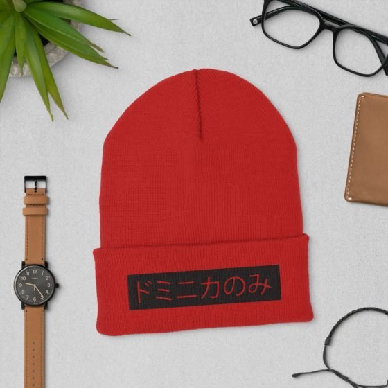 Onlydom | Japanese Cuffed Beanie - Image 5