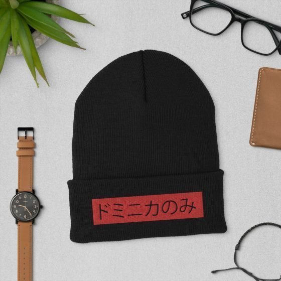 Onlydom | Japanese Cuffed Beanie - Image 2