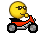 [moto]
